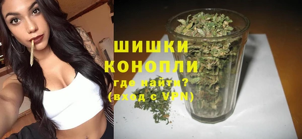 дживик Козловка