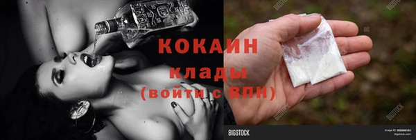 прущие крисы Кодинск