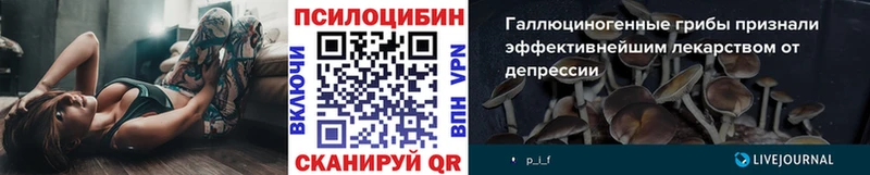 Псилоцибиновые грибы мицелий Купить Киреевск